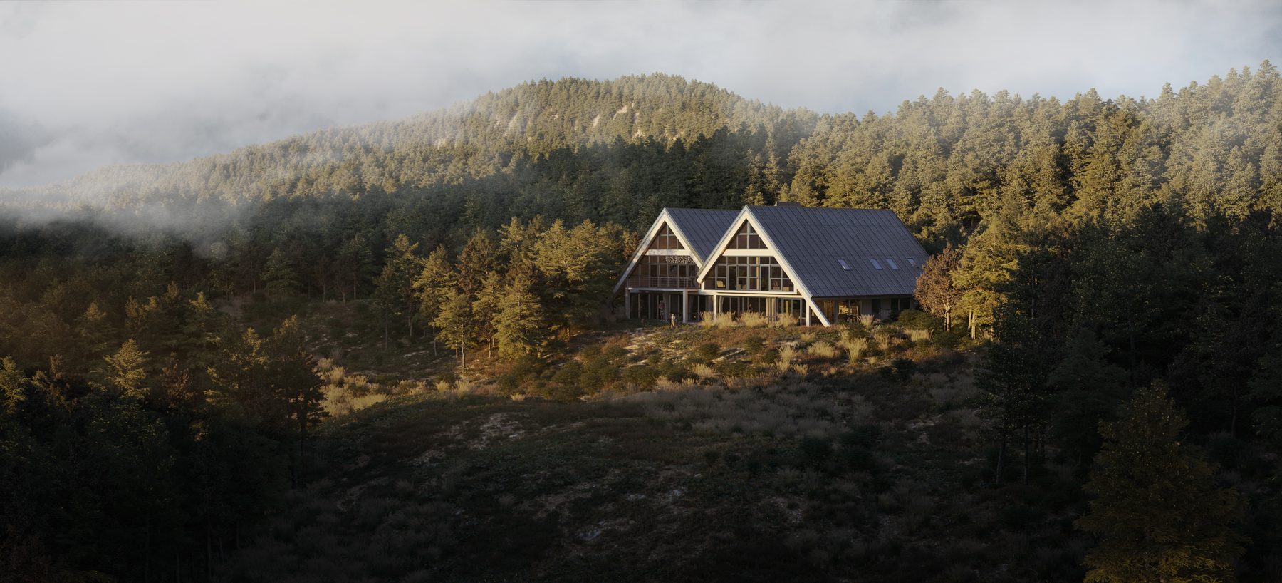 forest house